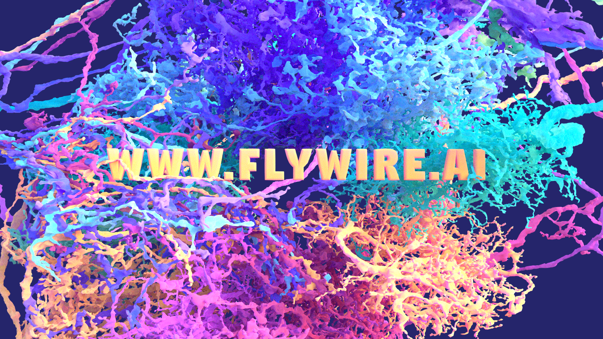flywire, ai, machine learning, fly brain, brain mapping, citizen science, neuroscience, connectome, connectomics