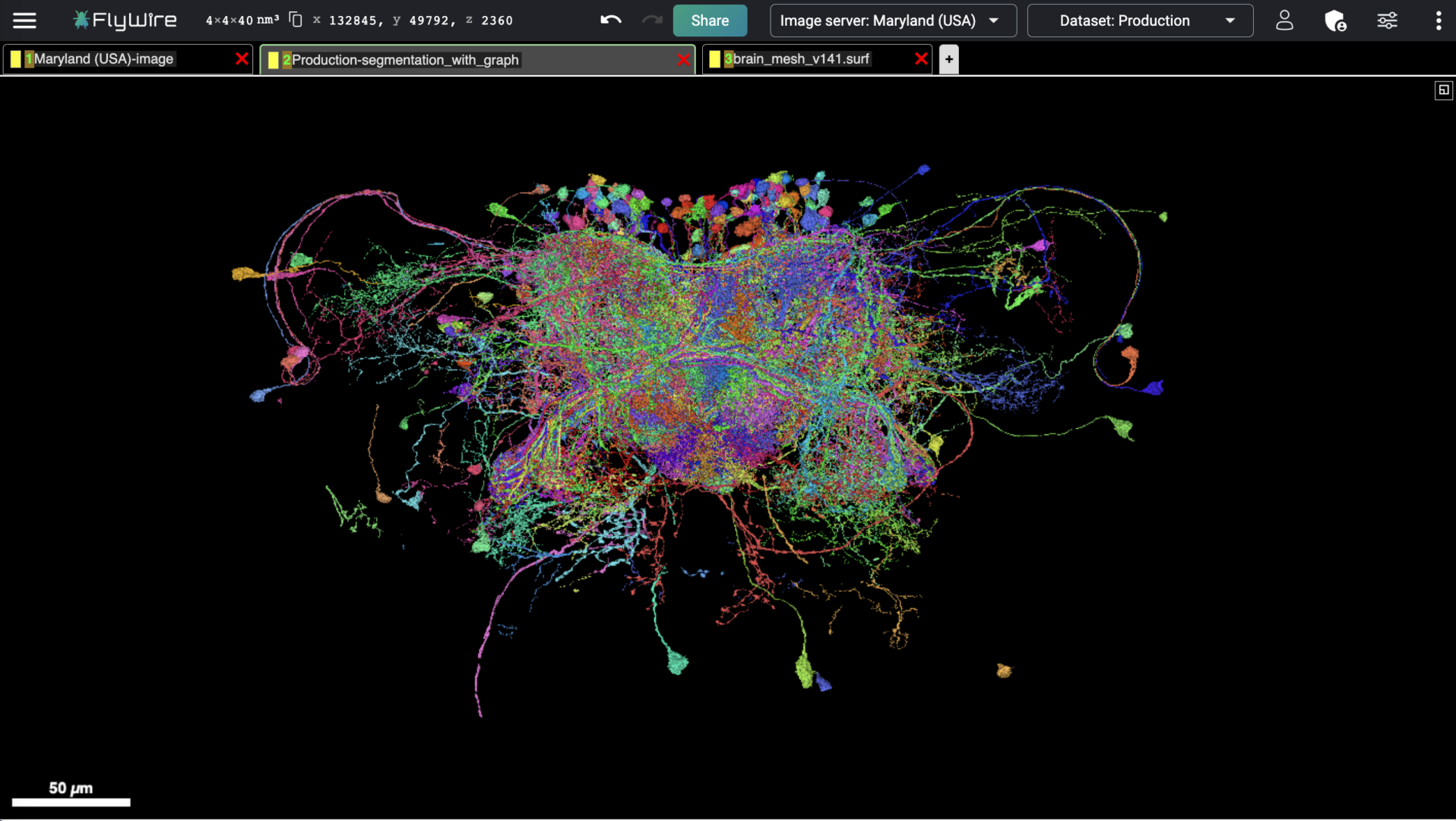 Full screen visualization of neurons with primary input in protocerebral bridge.