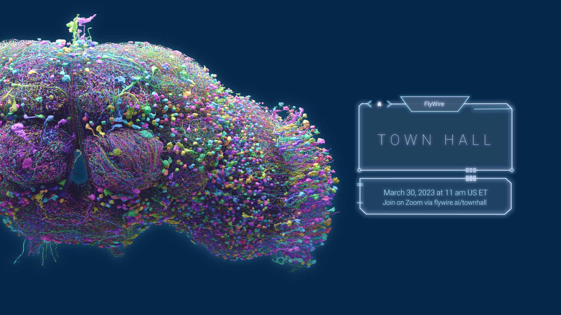 flywire town hall event poster, hologram UI