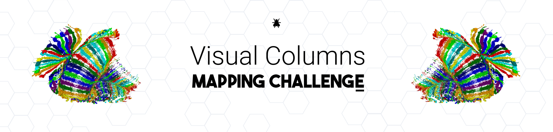 Visual Columns Mapping Challenge