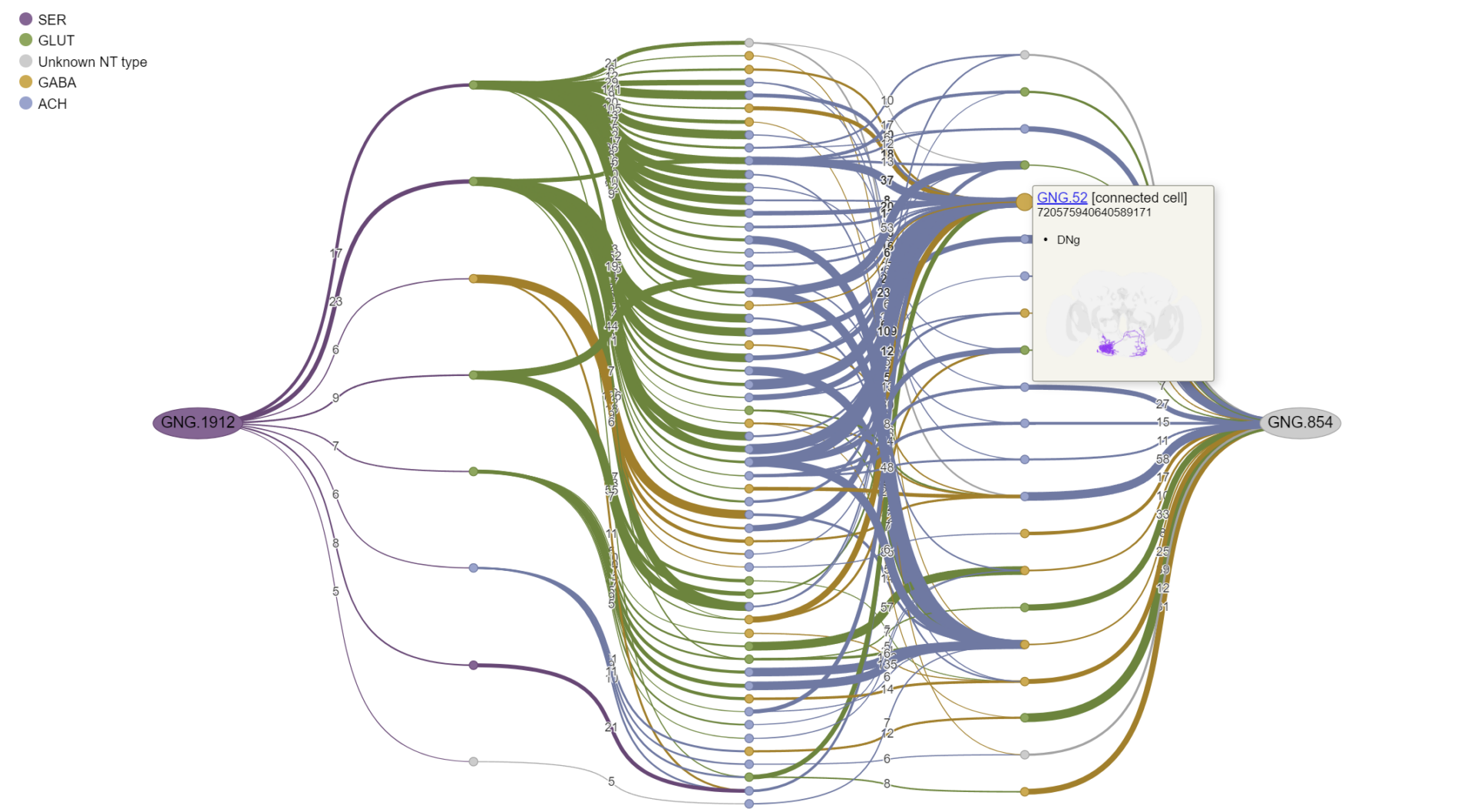 FlyWire Blog - An open community for whole brain connectomics.
